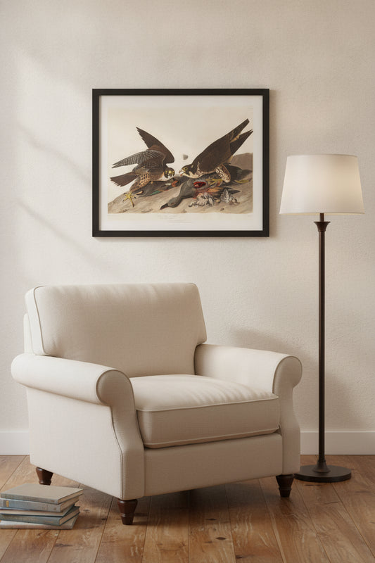 Great Footed Hawk — framed art in a styled interior