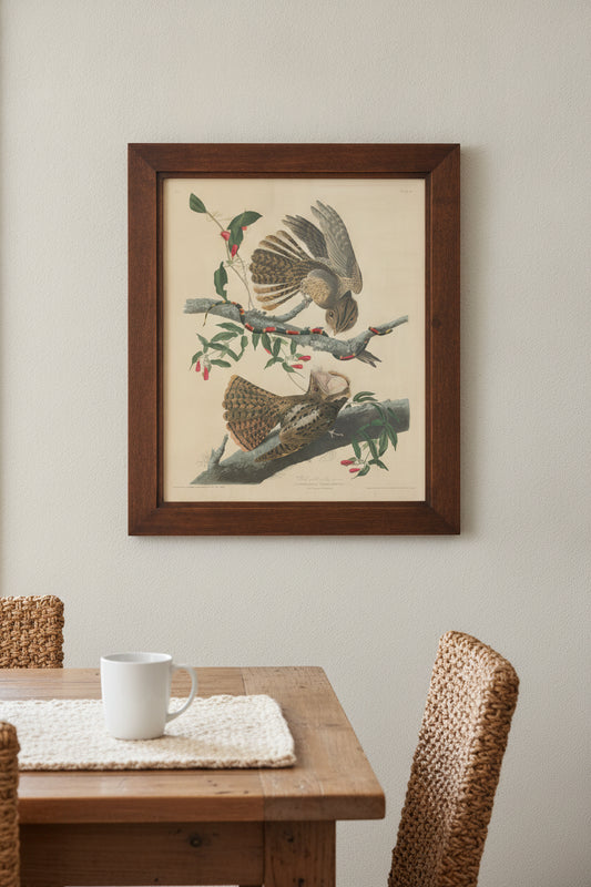 Chuck Will's Widow — framed art in a styled interior