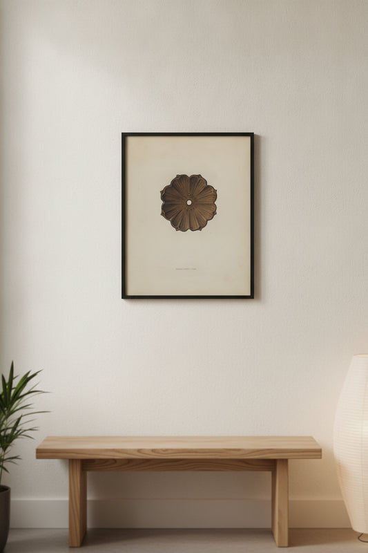 Rosette — framed art in a styled interior