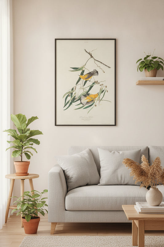 Prothonotary Warbler — framed art in a styled interior