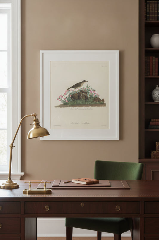 Prairie Titlark — framed art in a styled interior