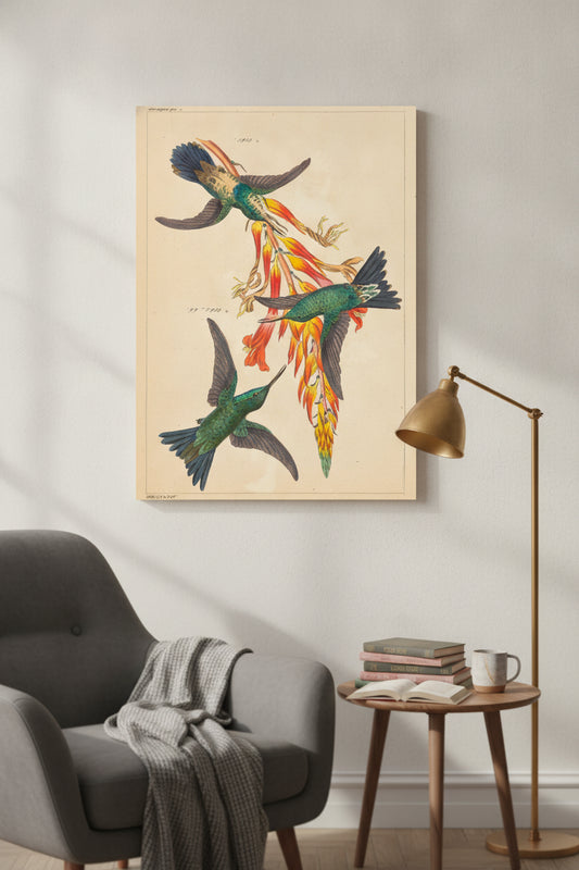 Three Hummingbirds with Plant — framed art in a styled interior