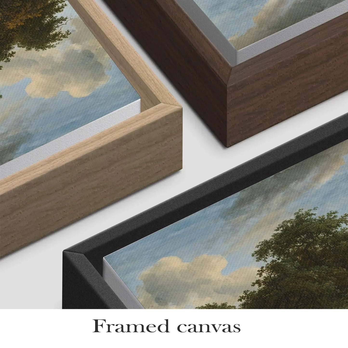 Orlonzo - Framed Canvas