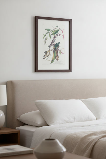 Worm-eating Warbler — framed art in a styled interior