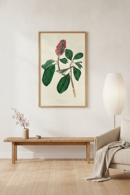 Bonaparte Fly Catcher — framed art in a styled interior