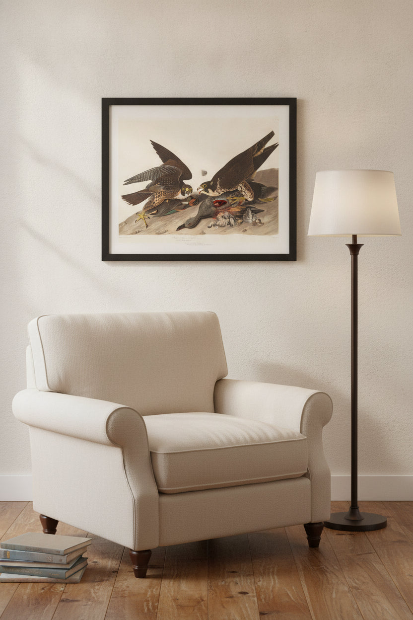 Great Footed Hawk — framed art in a styled interior