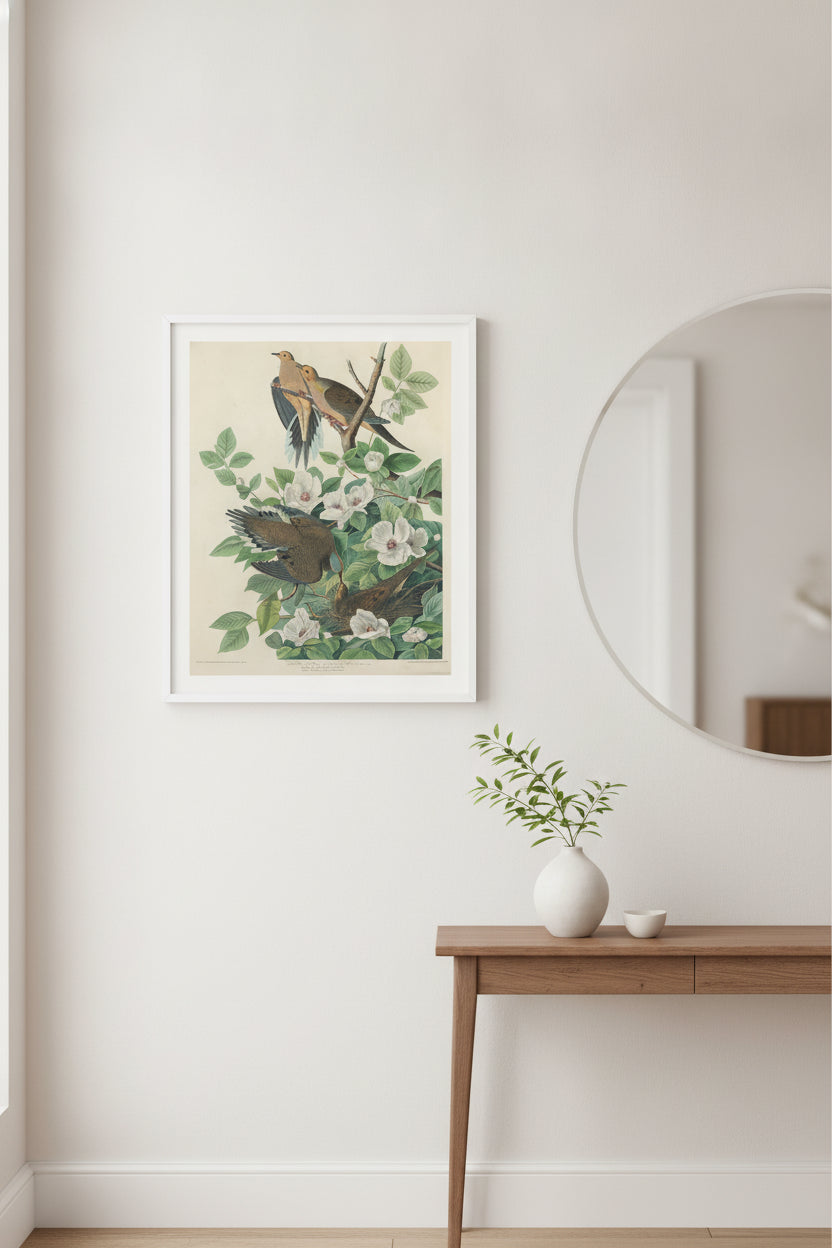 Carolina Pigeon or Turtle Dove — framed art in a styled interior