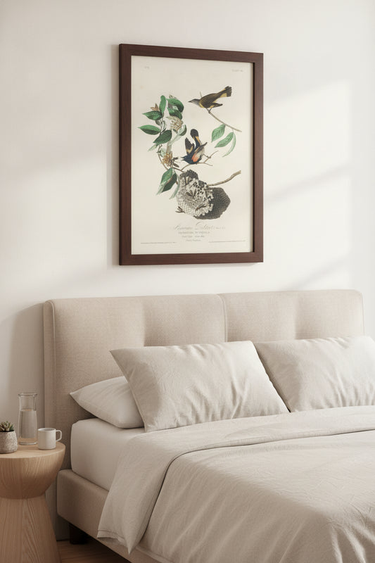 American Redstart — framed art in a styled interior
