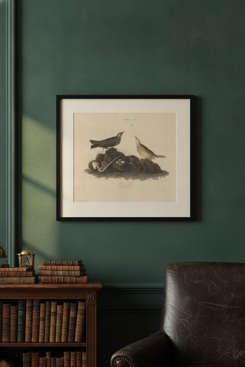 Brown Lark — framed art in a styled interior