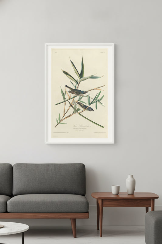 Solitary Flycatcher — framed art in a styled interior