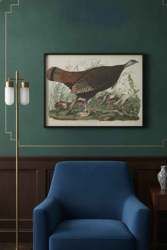 Great American Hen and Young — framed art in a styled interior