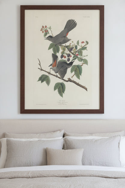 Cat Bird — framed art in a styled interior