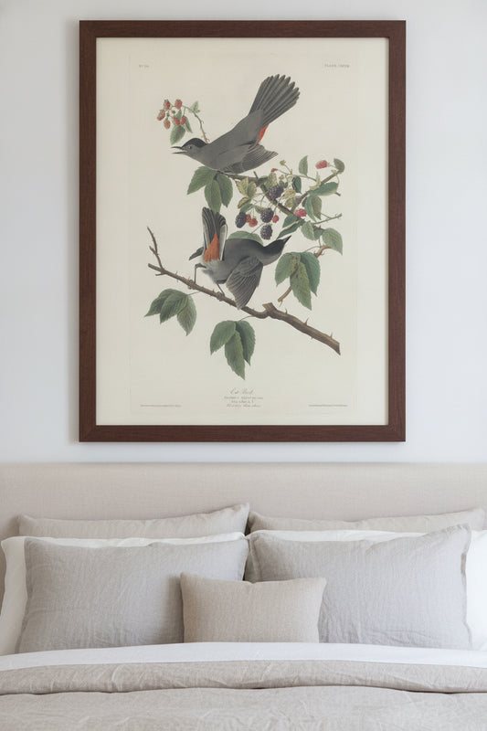 Cat Bird — framed art in a styled interior