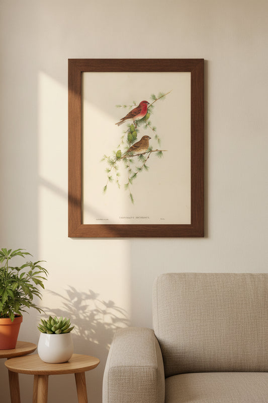 Carpodacus erythrinus (Common Rose Finch) — framed art in a styled interior