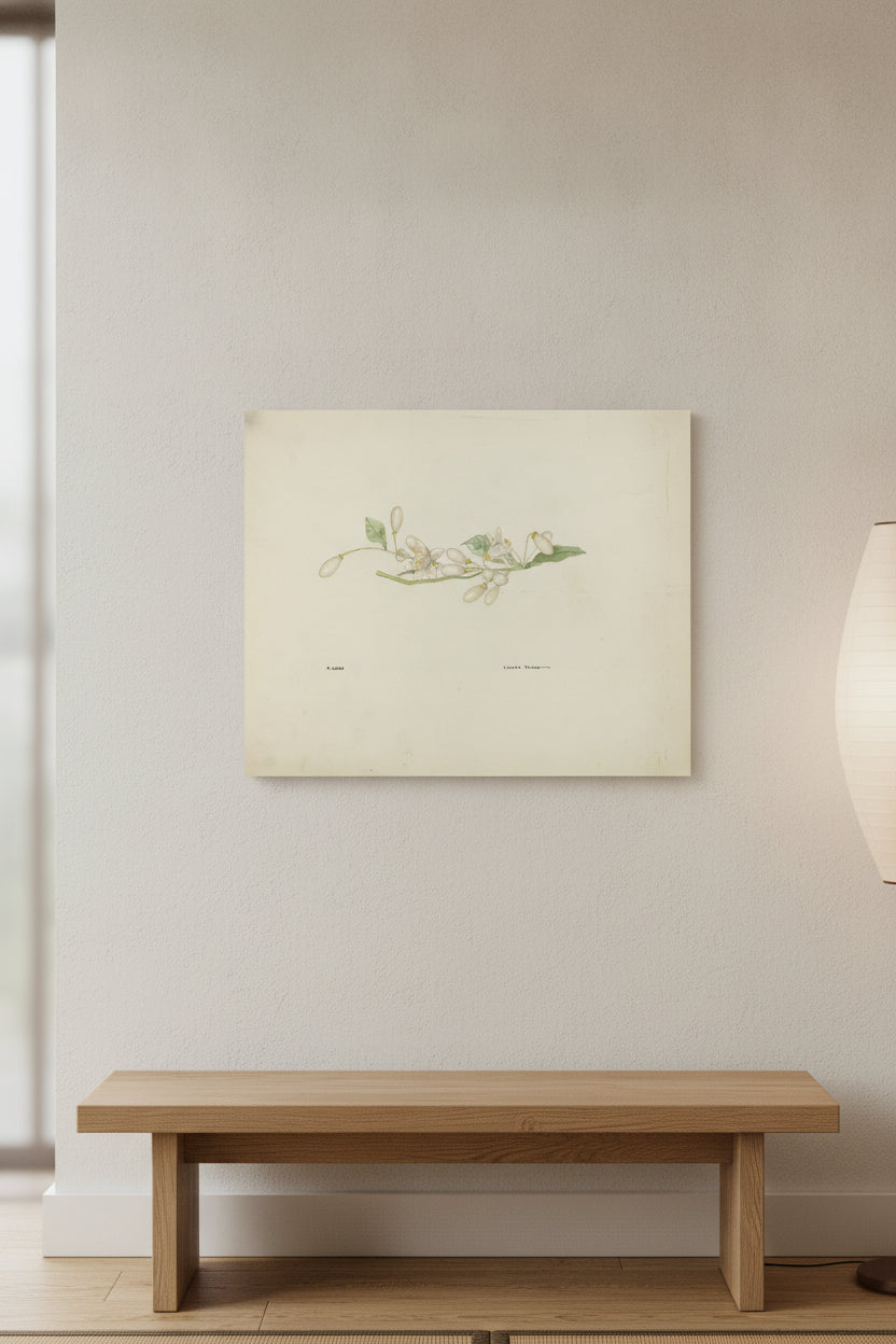 Costume Accessory (Orange Blossoms) — framed art in a styled interior