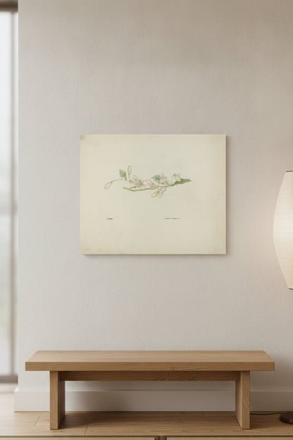 Costume Accessory (Orange Blossoms) — framed art in a styled interior