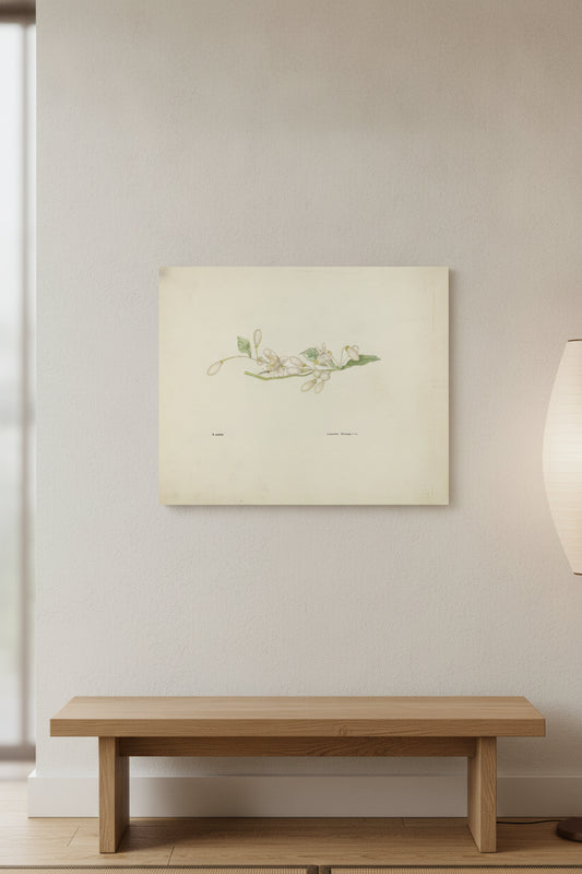 Costume Accessory (Orange Blossoms) — framed art in a styled interior