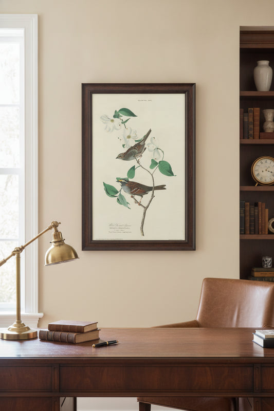 White-throated Sparrow — framed art in a styled interior