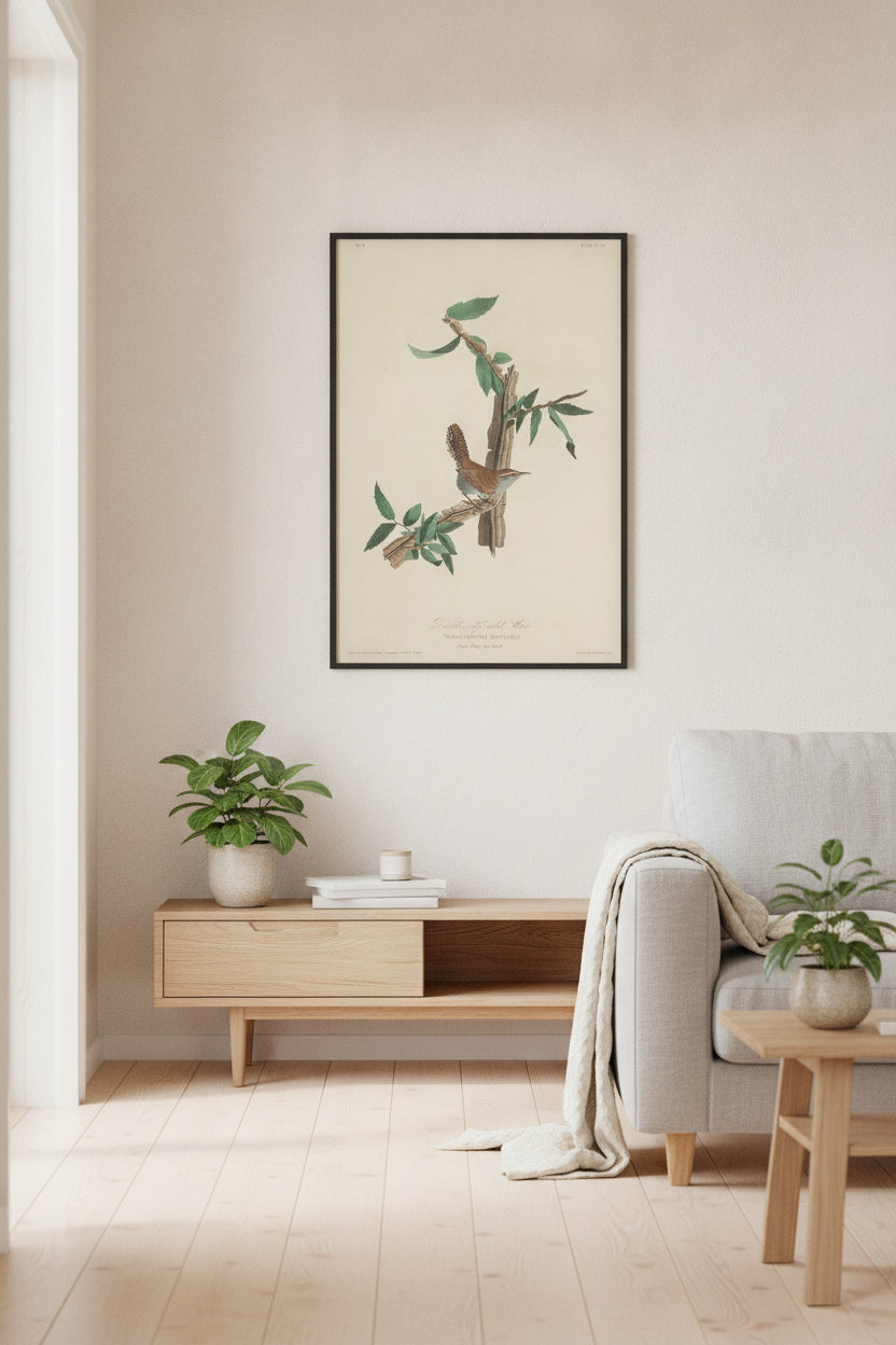 Bewick's Long-tailed Wren — framed art in a styled interior