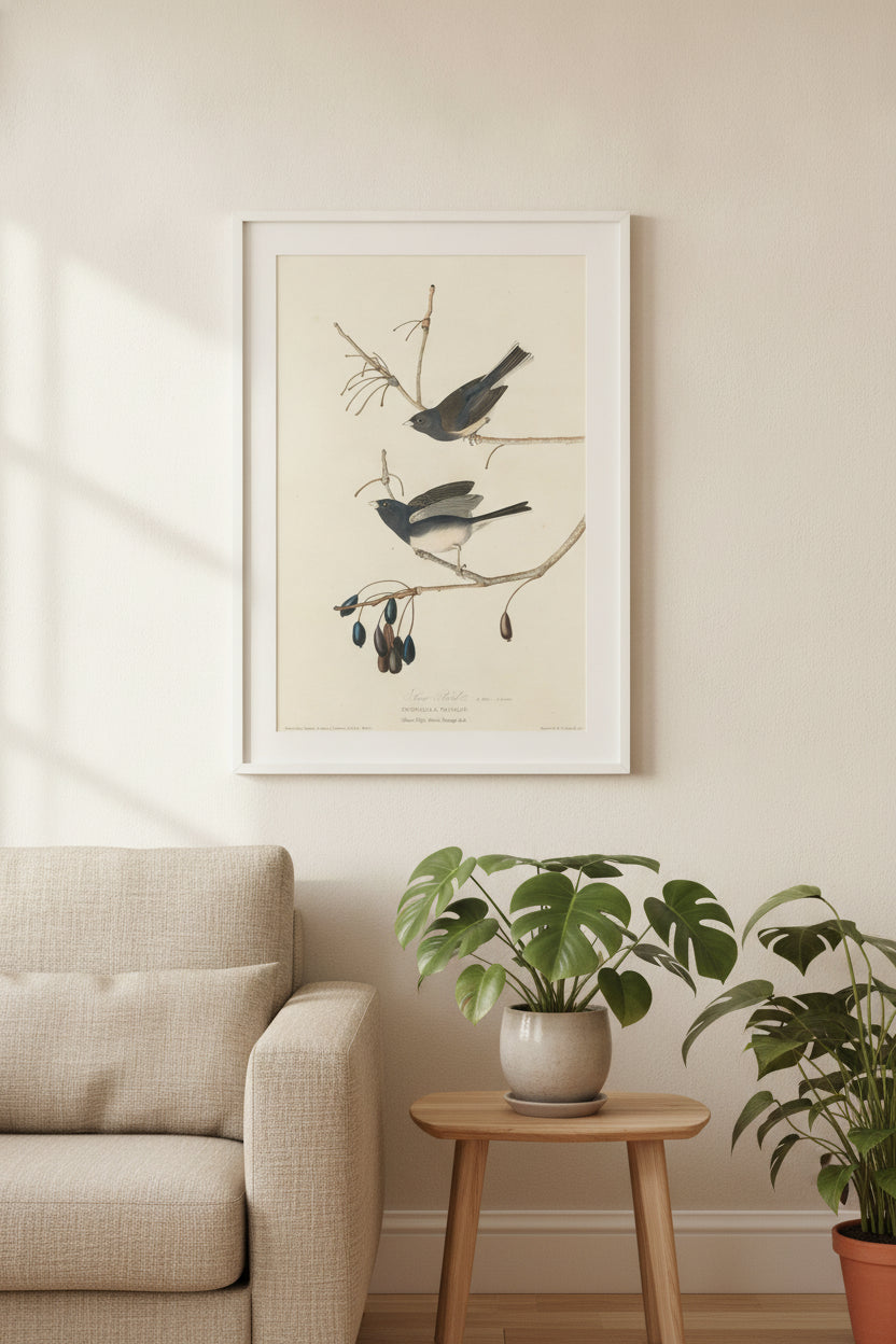 Snow-Bird — framed art in a styled interior