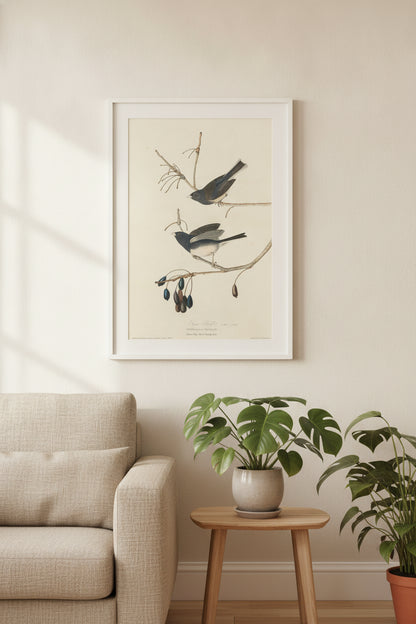 Snow-Bird — framed art in a styled interior