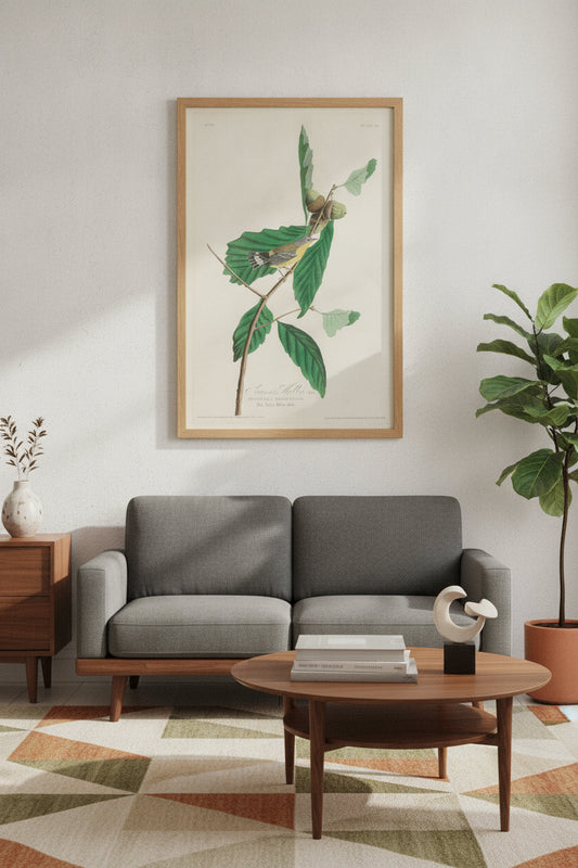 Swainson's Warbler — framed art in a styled interior