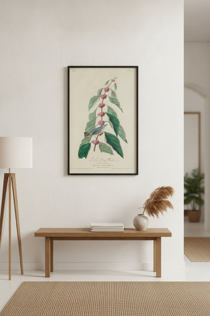 Blue-green Warbler — framed art in a styled interior