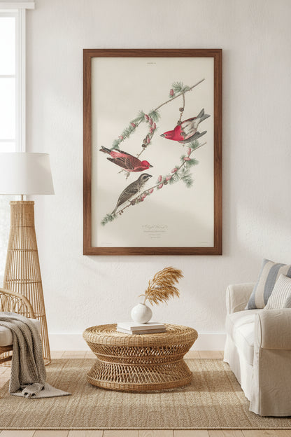 Purple Finch — framed art in a styled interior