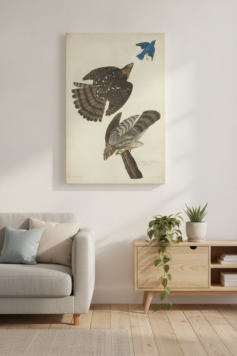 Stanley Hawk — framed art in a styled interior