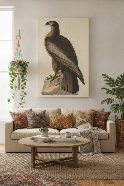 The Bird of Washington or Great American Sea Eagle — framed art in a styled interior