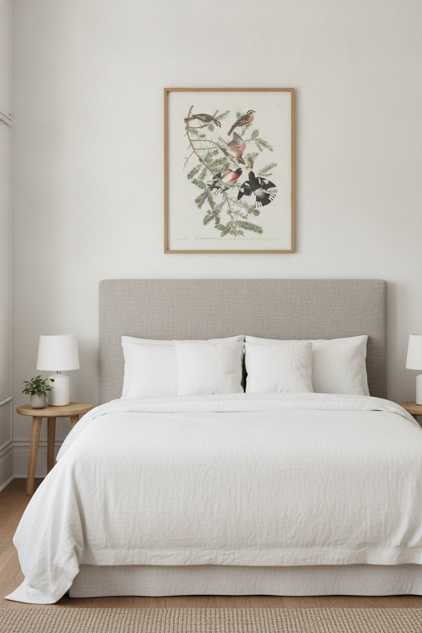 Rose-breasted Grosbeak — framed art in a styled interior