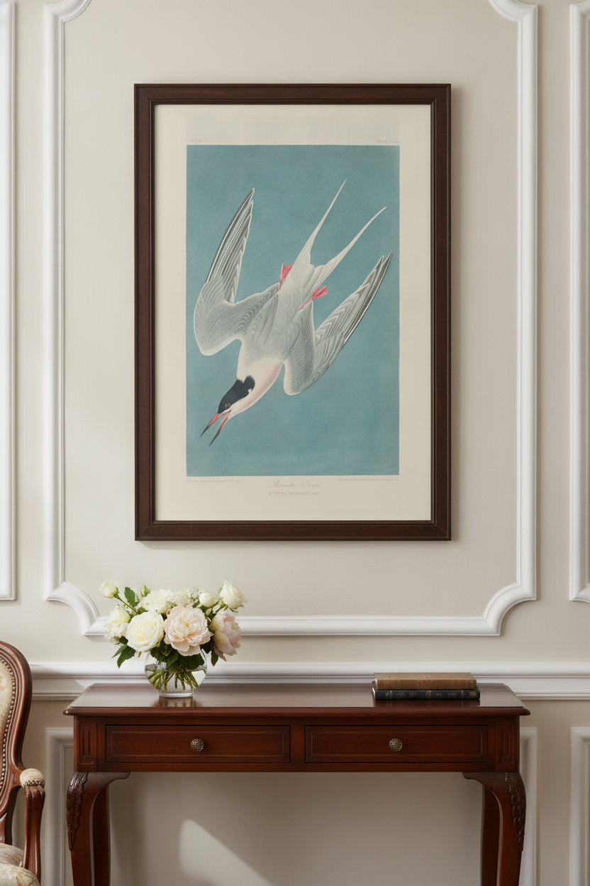 Roseate Tern — framed art in a styled interior