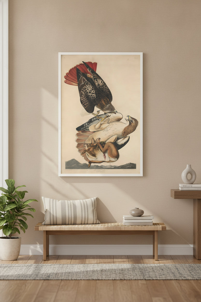 Red Tailed Hawk — framed art in a styled interior