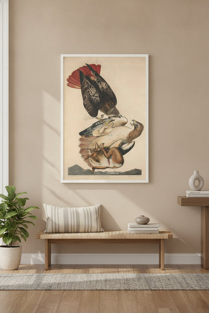 Red Tailed Hawk — framed art in a styled interior
