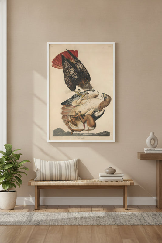 Red Tailed Hawk — framed art in a styled interior