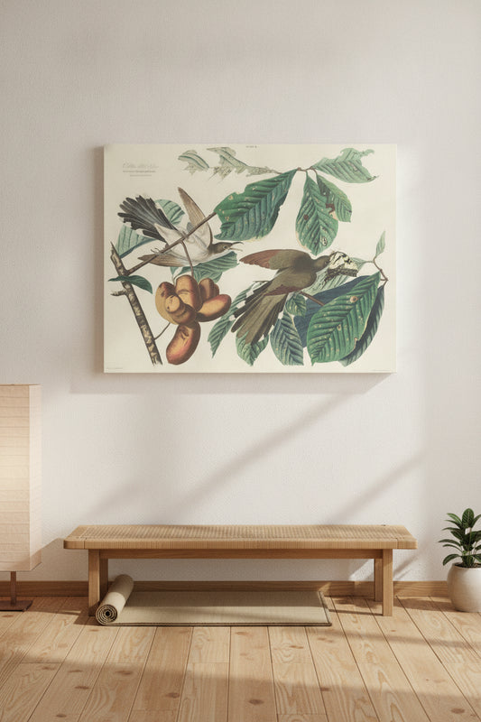 Yellow-billed Cuckoo — framed art in a styled interior