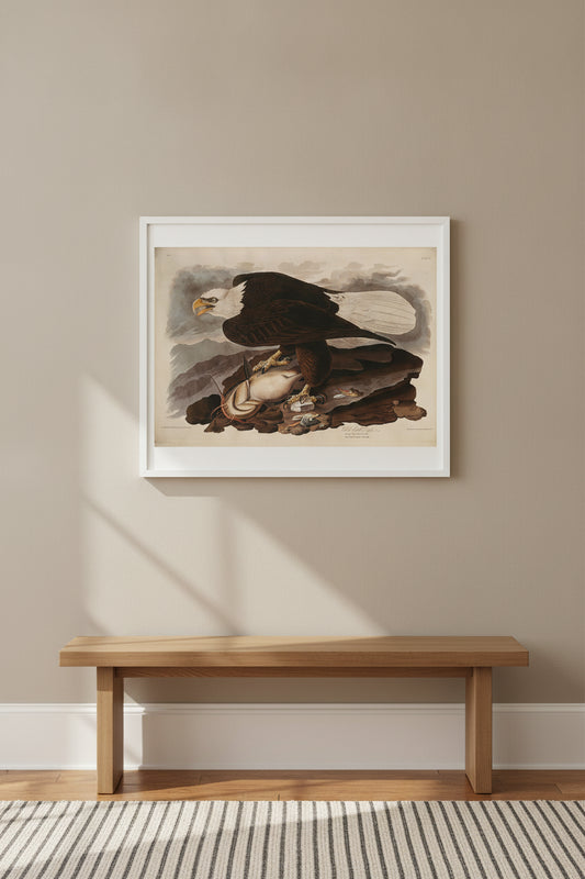 White-headed Eagle — framed art in a styled interior