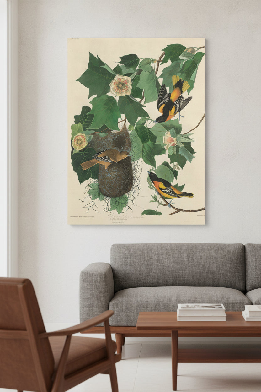 Baltimore Oriole — framed art in a styled interior