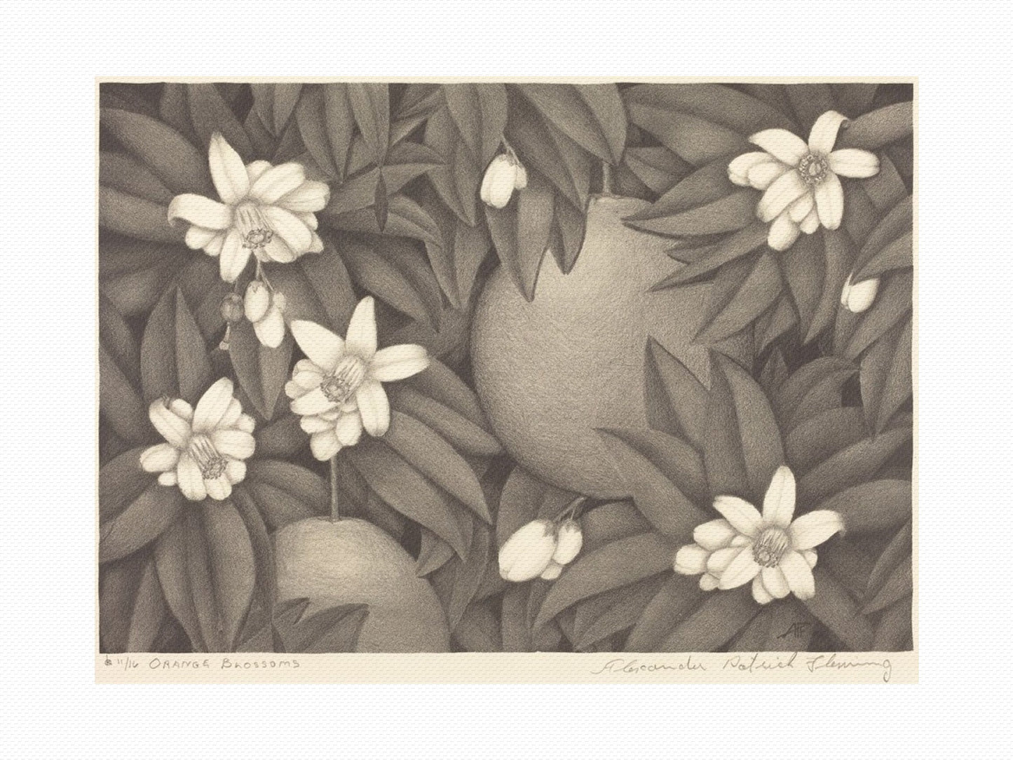 Orlonzo - WRAPPED CANVAS UNFRAMED CANVAS PREVIEW