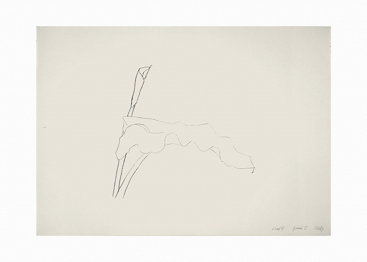 Orlonzo - WRAPPED CANVAS UNFRAMED CANVAS PREVIEW