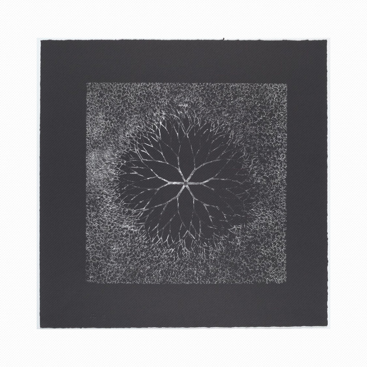 Orlonzo - WRAPPED CANVAS UNFRAMED CANVAS PREVIEW