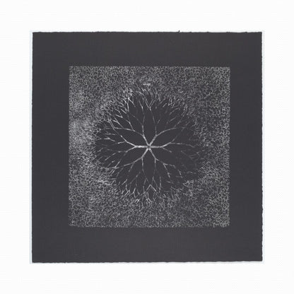 Orlonzo - WRAPPED CANVAS UNFRAMED CANVAS PREVIEW