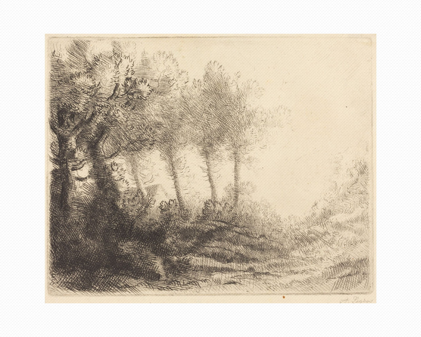 Orlonzo - WRAPPED CANVAS UNFRAMED CANVAS PREVIEW