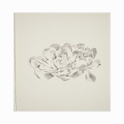 Orlonzo - WRAPPED CANVAS UNFRAMED CANVAS PREVIEW