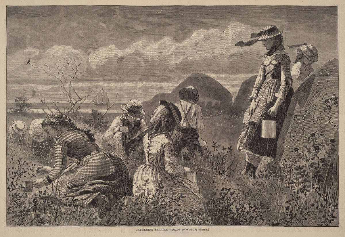 Gathering Berries