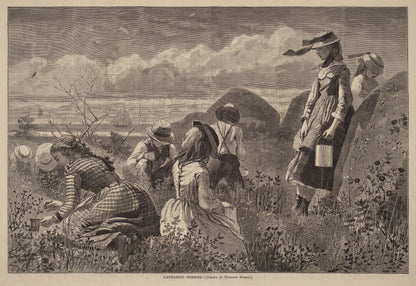 Gathering Berries