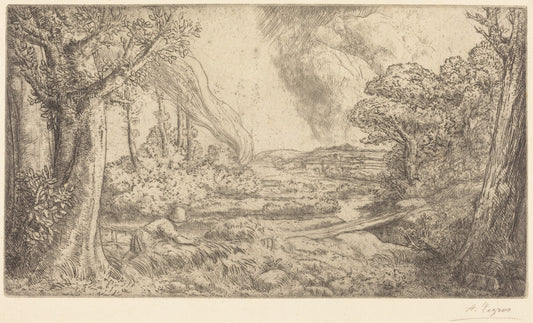 Landscape (Paysage)