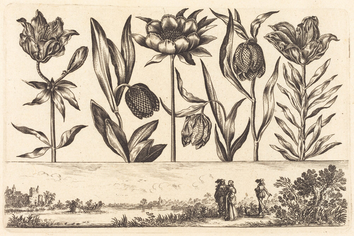 Flower Print no.11