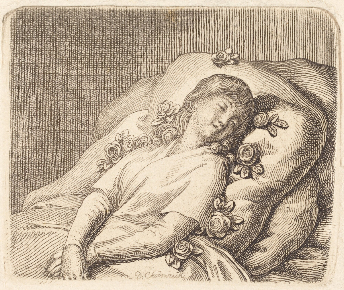 Dreaming on Roses