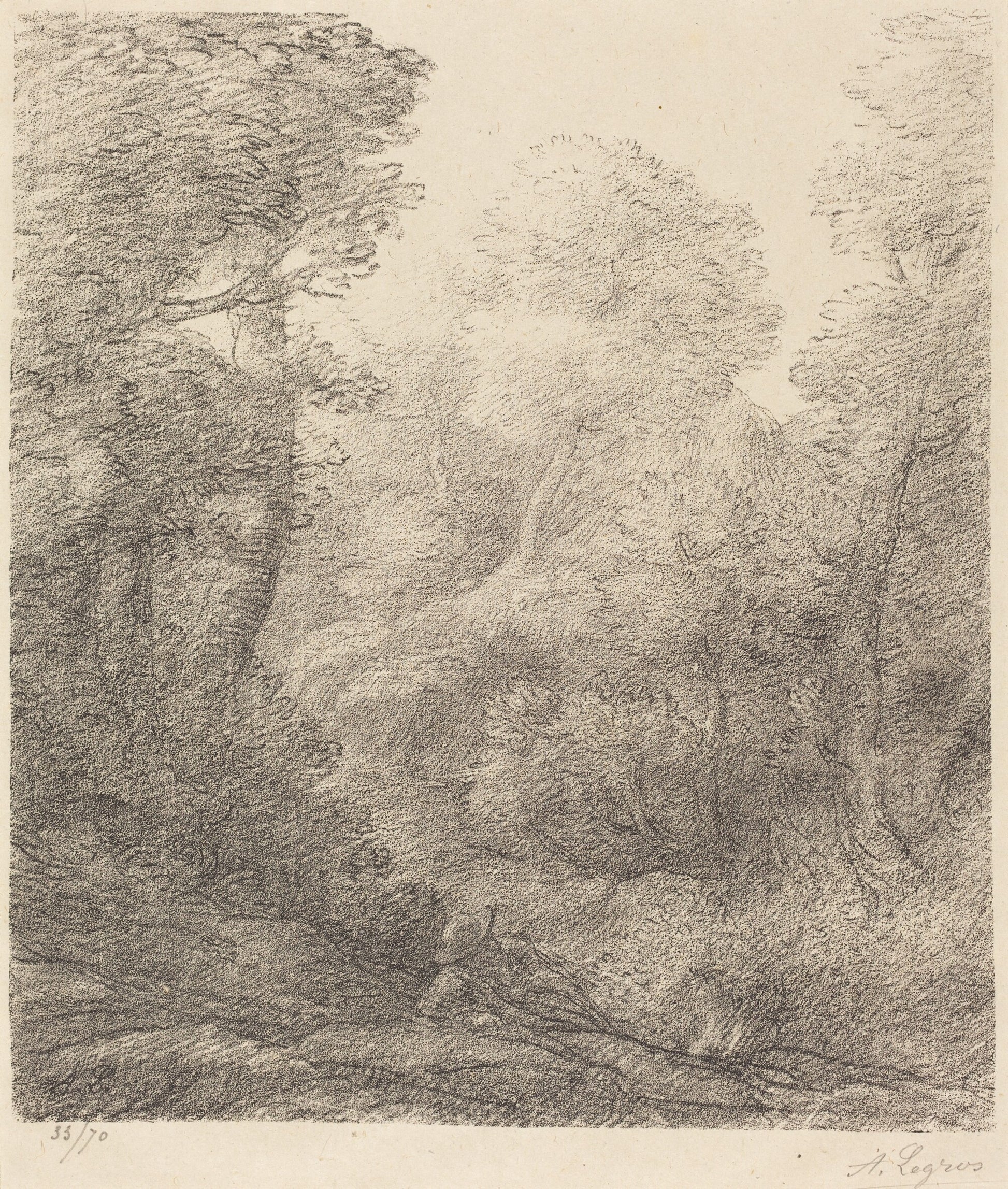 Landscape: Morning Mist (Paysage: Brumes du matin)